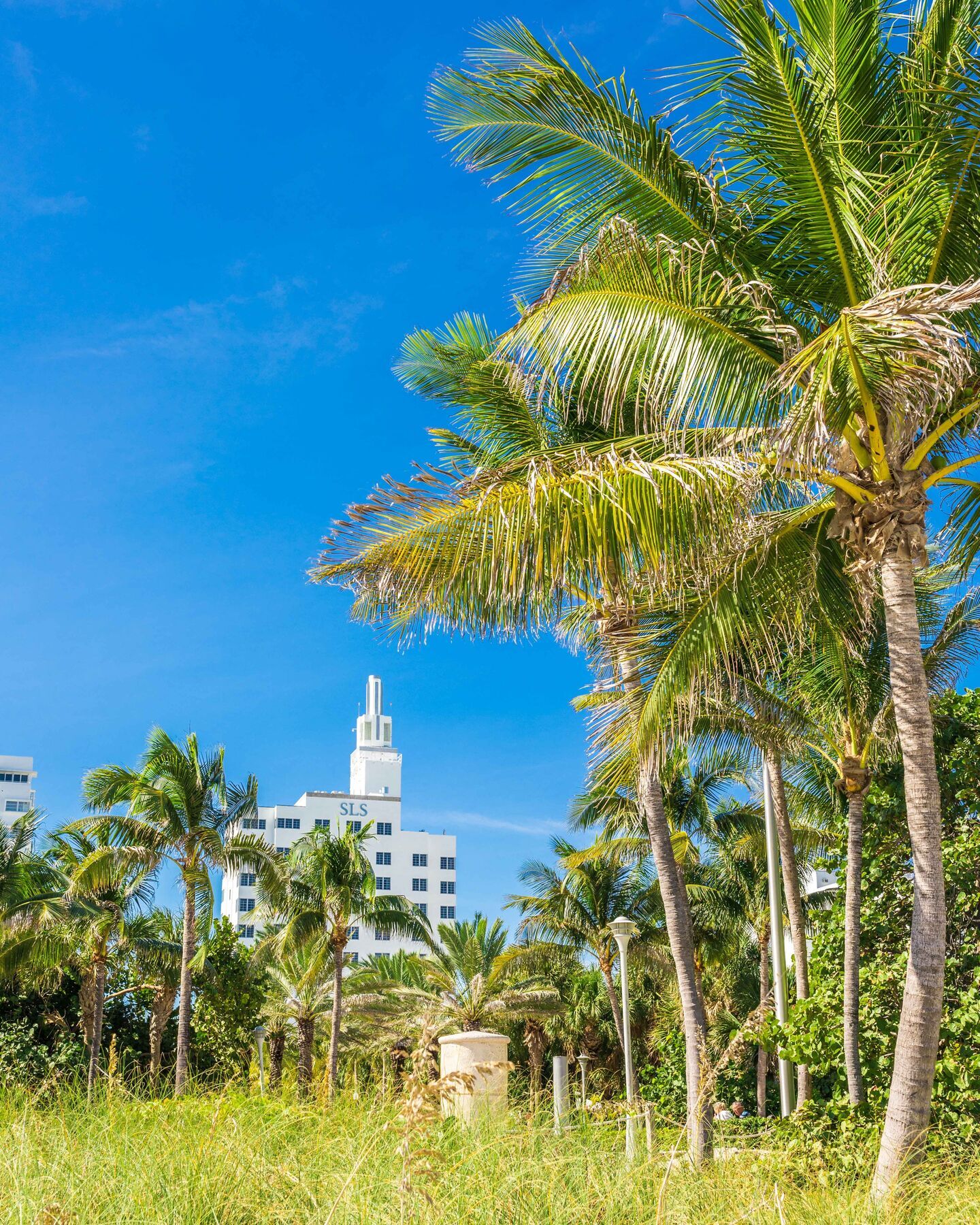 Sls South Beach (Adults Only) Miami Beach Exterior foto